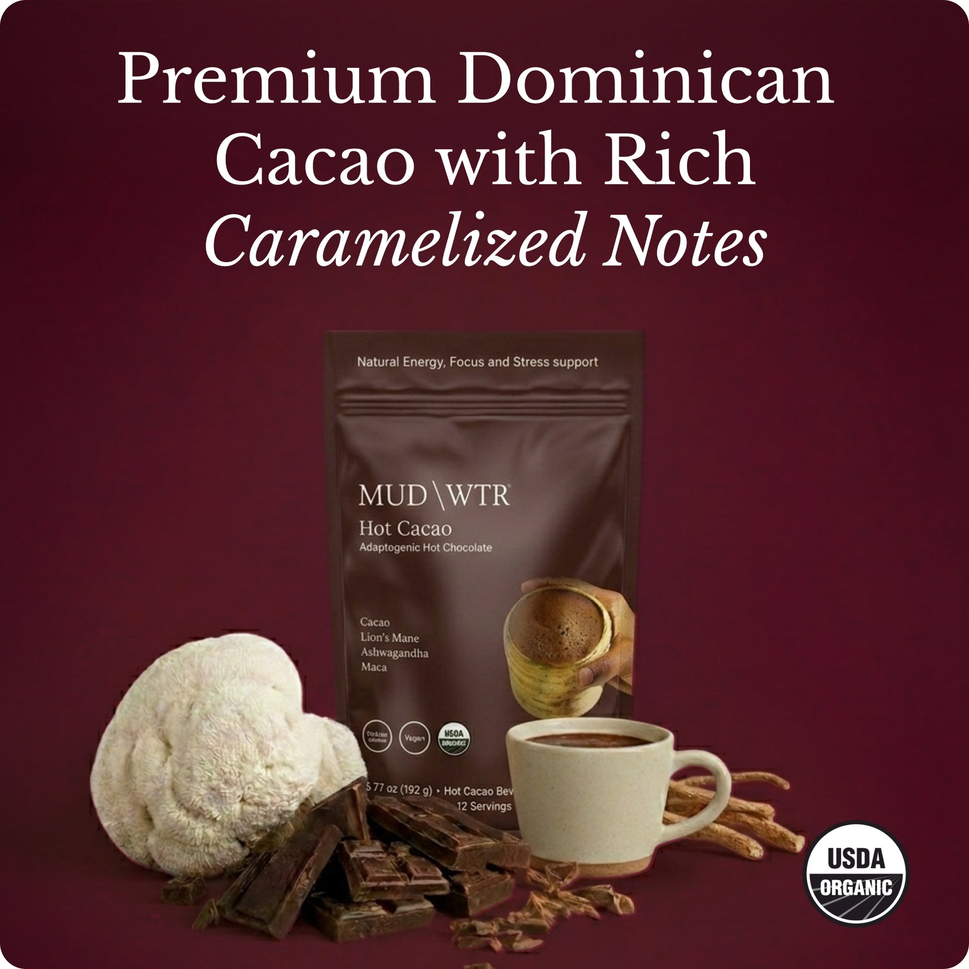 hot-chocolate-b9 Hot_Chocolate_Image_01.jpg