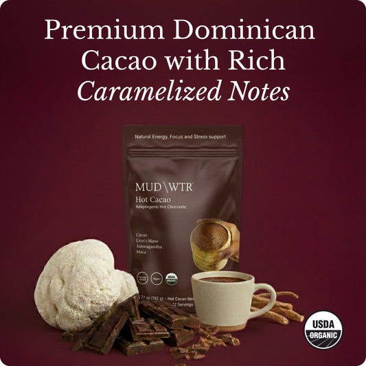 hot-chocolate-b9 Hot_Chocolate_Image_01.jpg