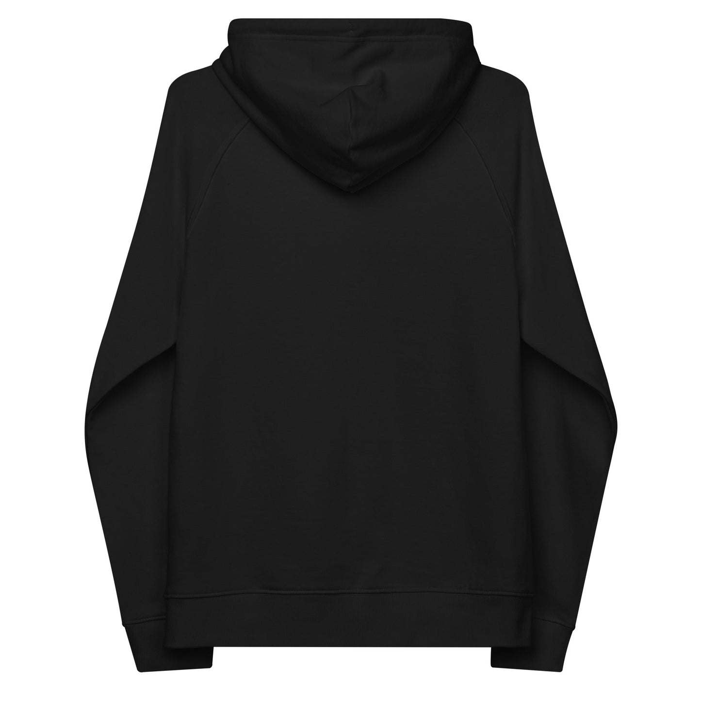 unlearn-relearn-hoodie-e0 unisex-eco-raglan-hoodie-black-back-647547b169f25.jpg