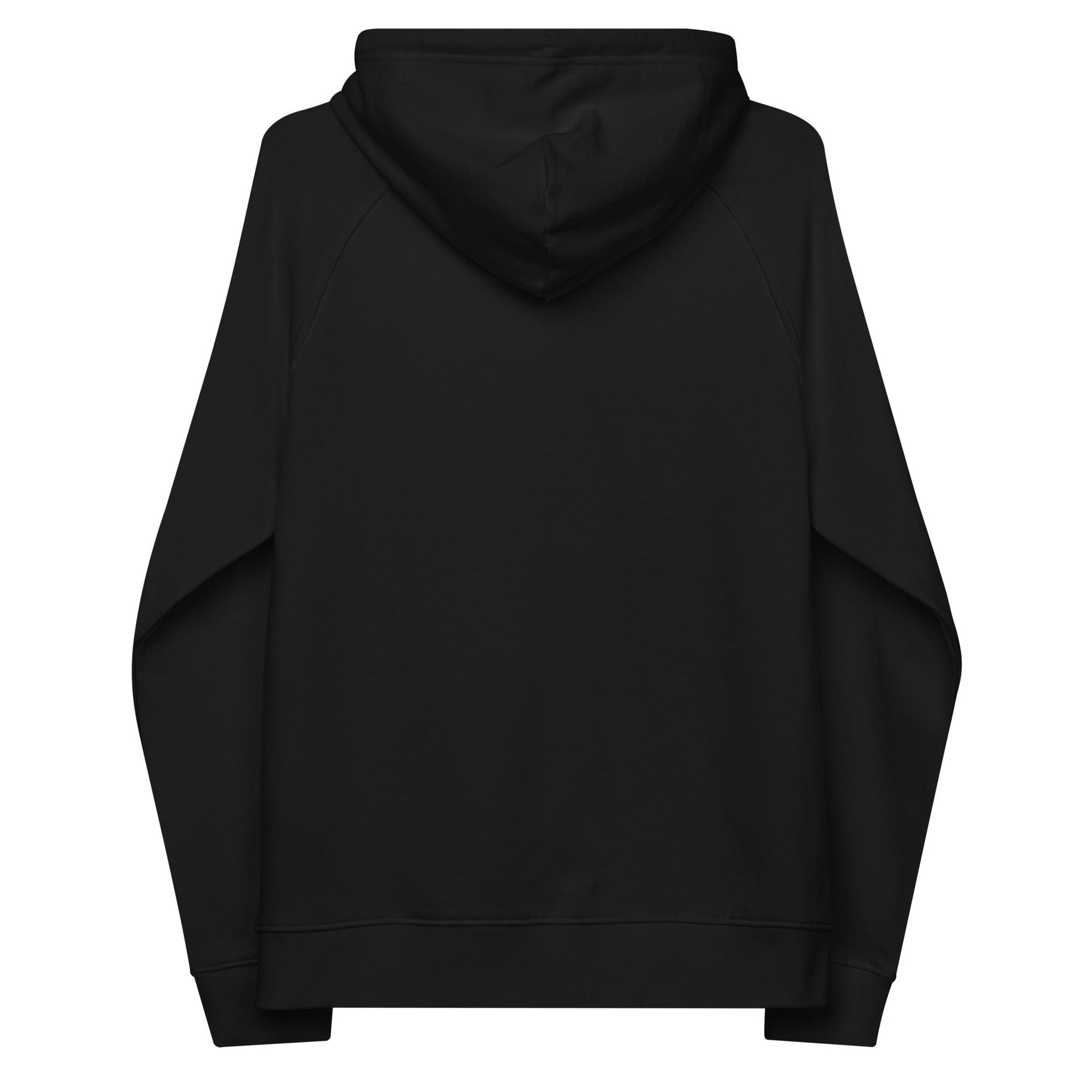 unlearn-relearn-hoodie-e0 unisex-eco-raglan-hoodie-black-back-647547b169f25.jpg