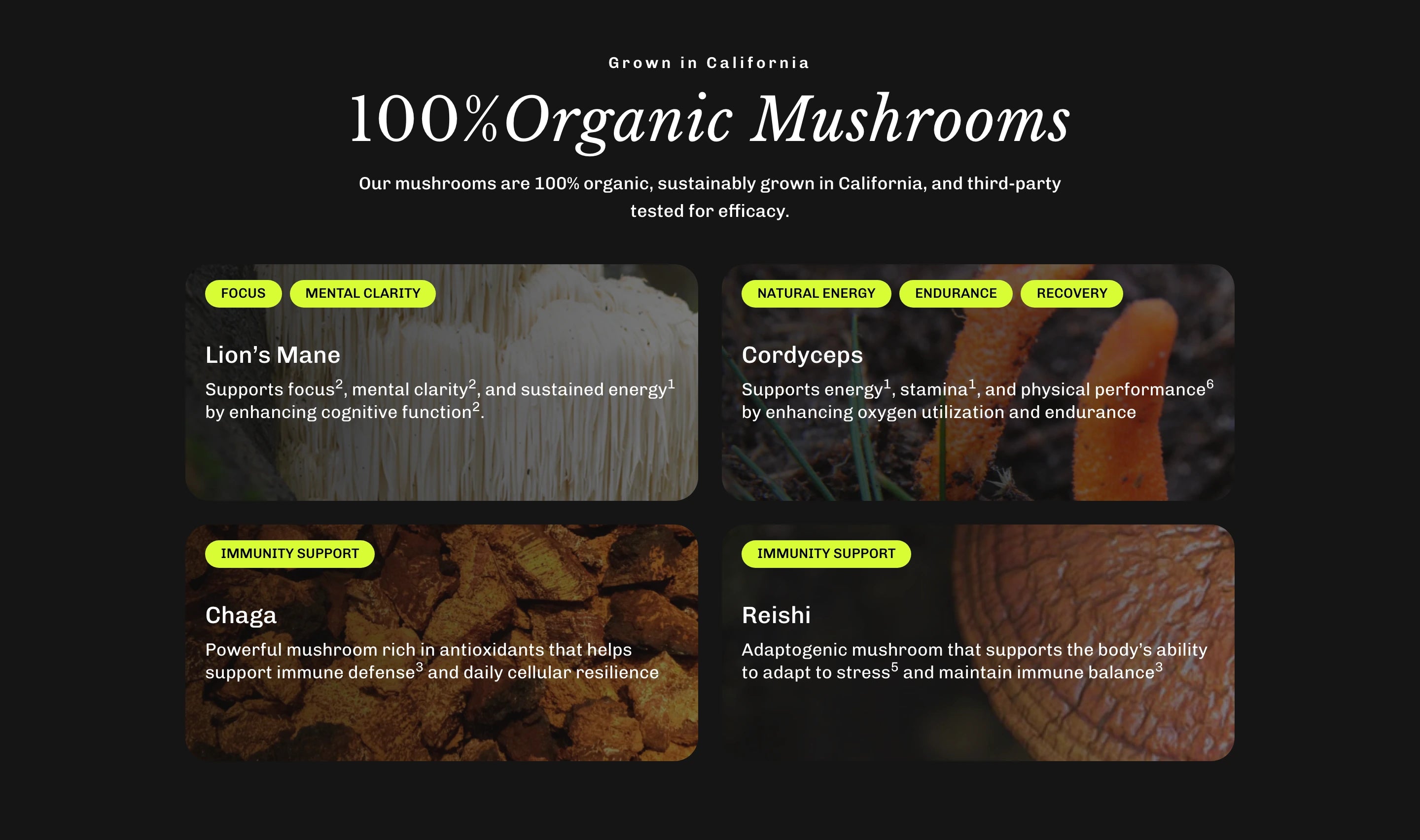 100% Organic Mushrooms